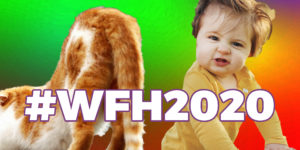 Cat Butts and Screaming Babies: Why I Love #WFH2020